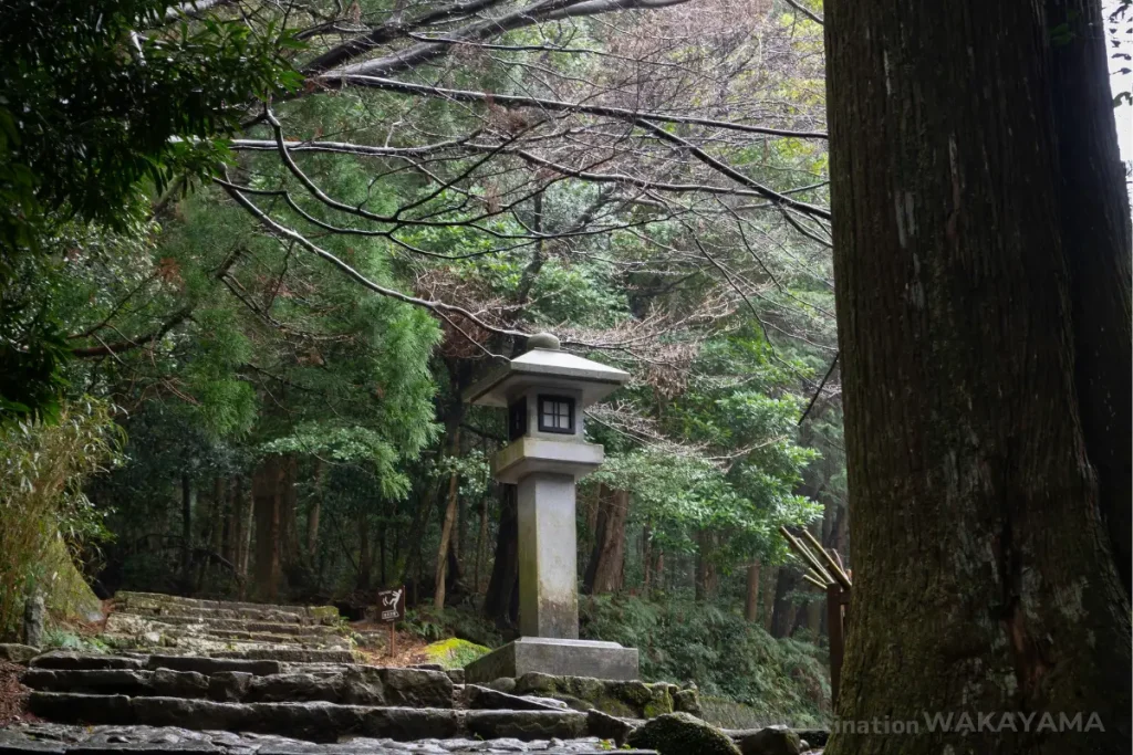 Trail route for kumano Nachi Taisha "Daimon-zaka"