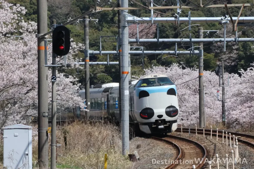 和歌山県へのアクセス｜Access to Wakayama Prefecture