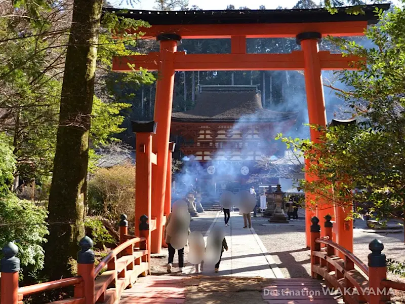 Misogi Bridge and Inner Torii at Niutsuhime Shrine