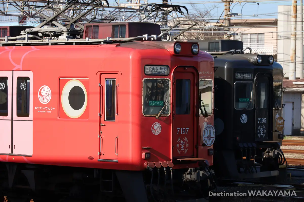 Medetai Train 'Nana'