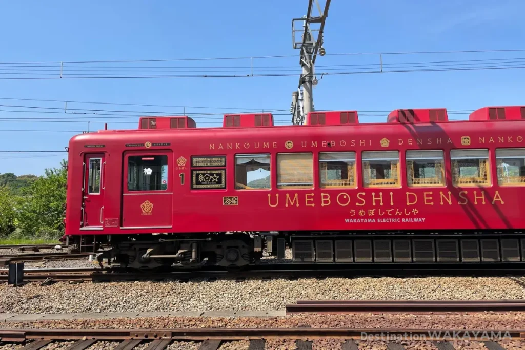 和歌山県が日本一の生産量を誇る梅をモチーフにした「うめぼし電車」