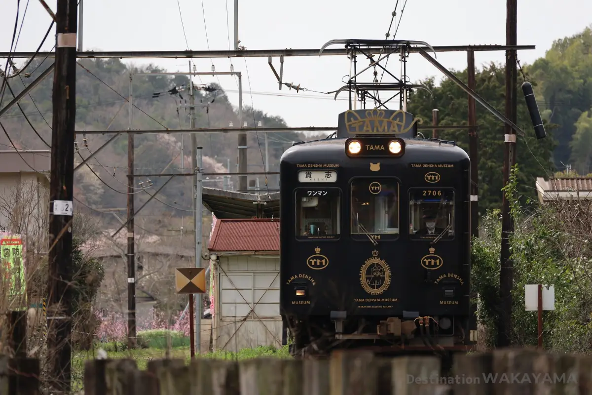 Wakayama Electric Railway and station master "Tama"