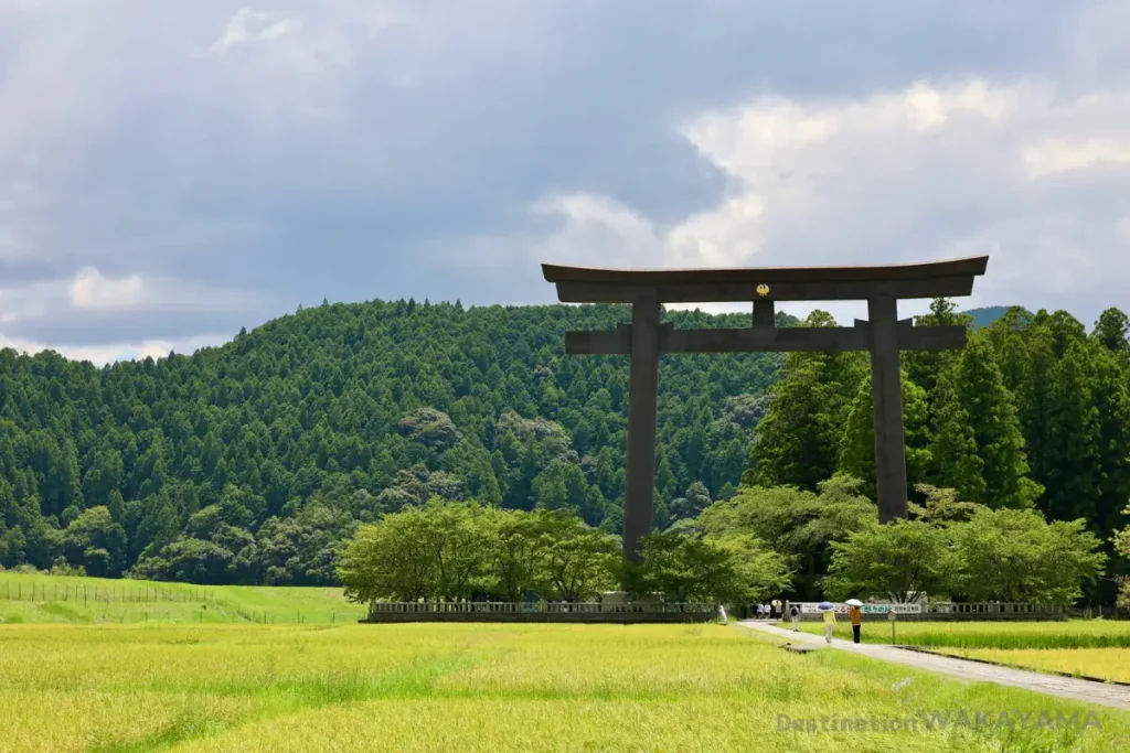 日本一の大きさを誇る鳥居のある大斎原（おおゆのはら）