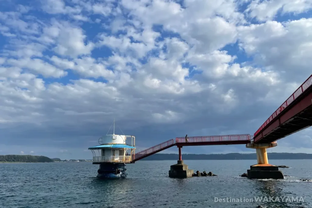 You can observe the natural ocean of Kushimoto all year round by entering the underwater observation tower.