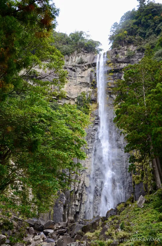 Nachi Falls, located in Nachikatsuura, Wakayama Prefecture, is renowned as one of Japan’s three most famous waterfalls. With an impressive drop of 133 meter