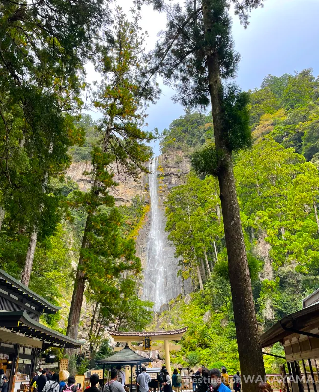 You can see the whole waterfall from the square in front of Nachi Falls.