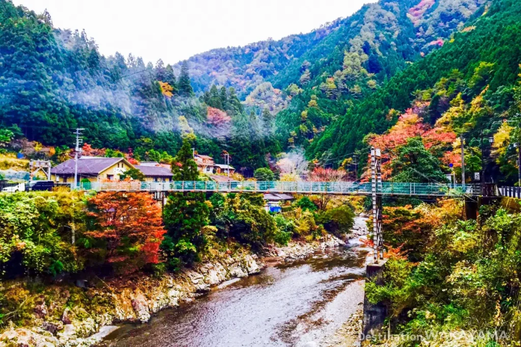 山奥の秘境に位置する龍神温泉