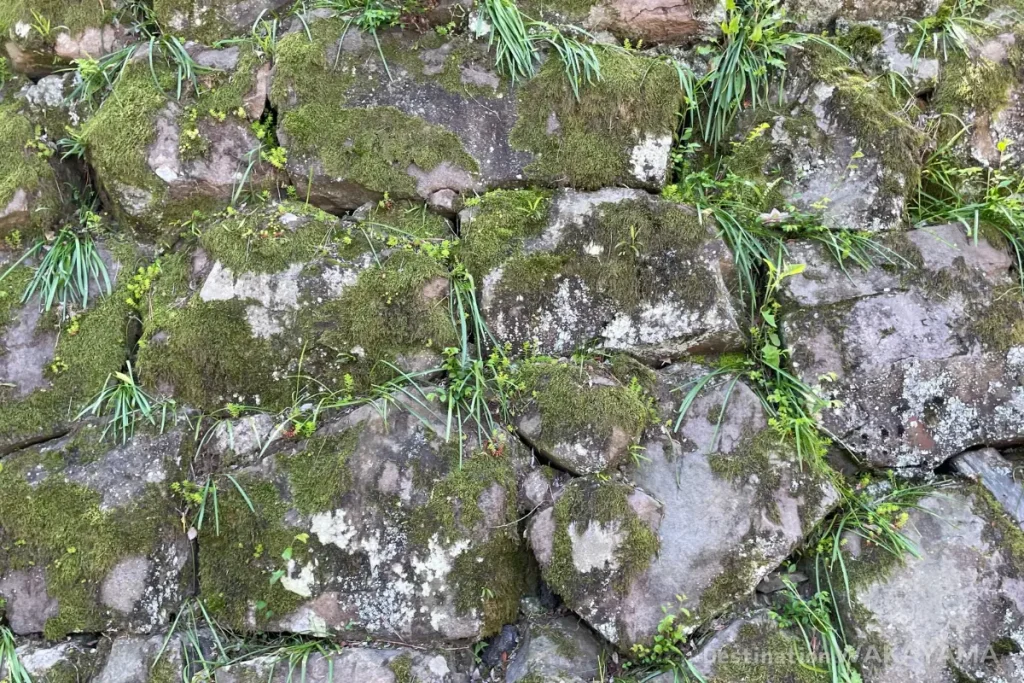 Stone walls of Wakayama Castle covered in moss and grass