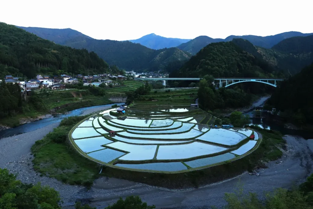 水を張った田植え直前のあらぎ島の風景
