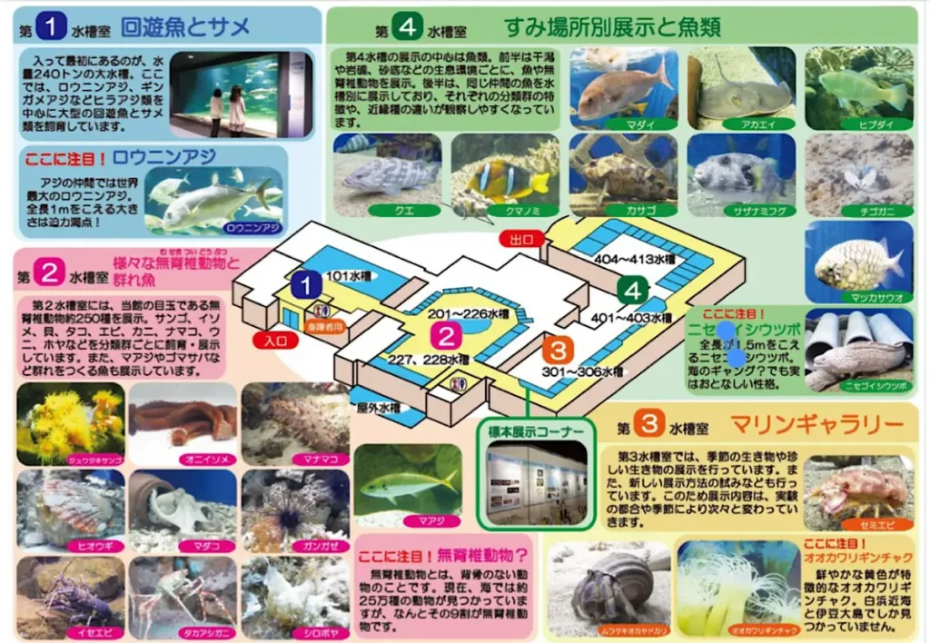 京都大学白浜水族館の館内マップ