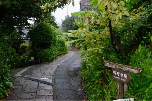 熊野古道/kumano Kodo