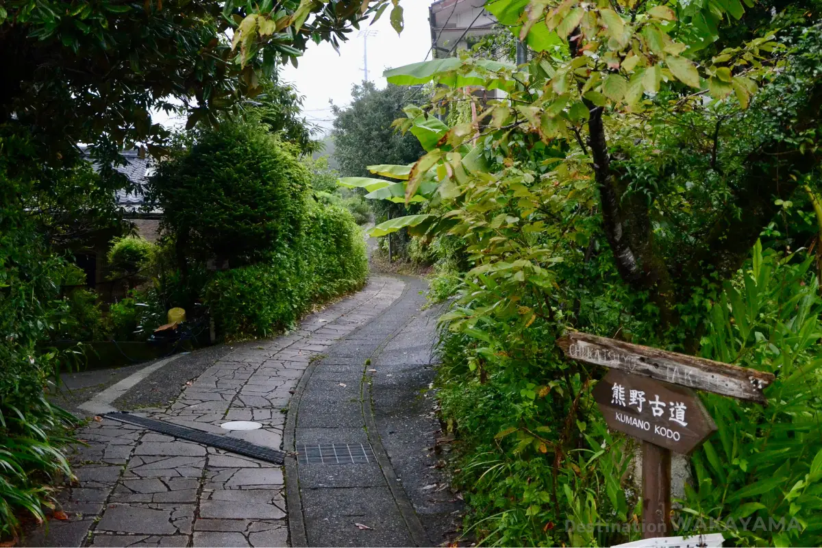熊野古道/kumano Kodo