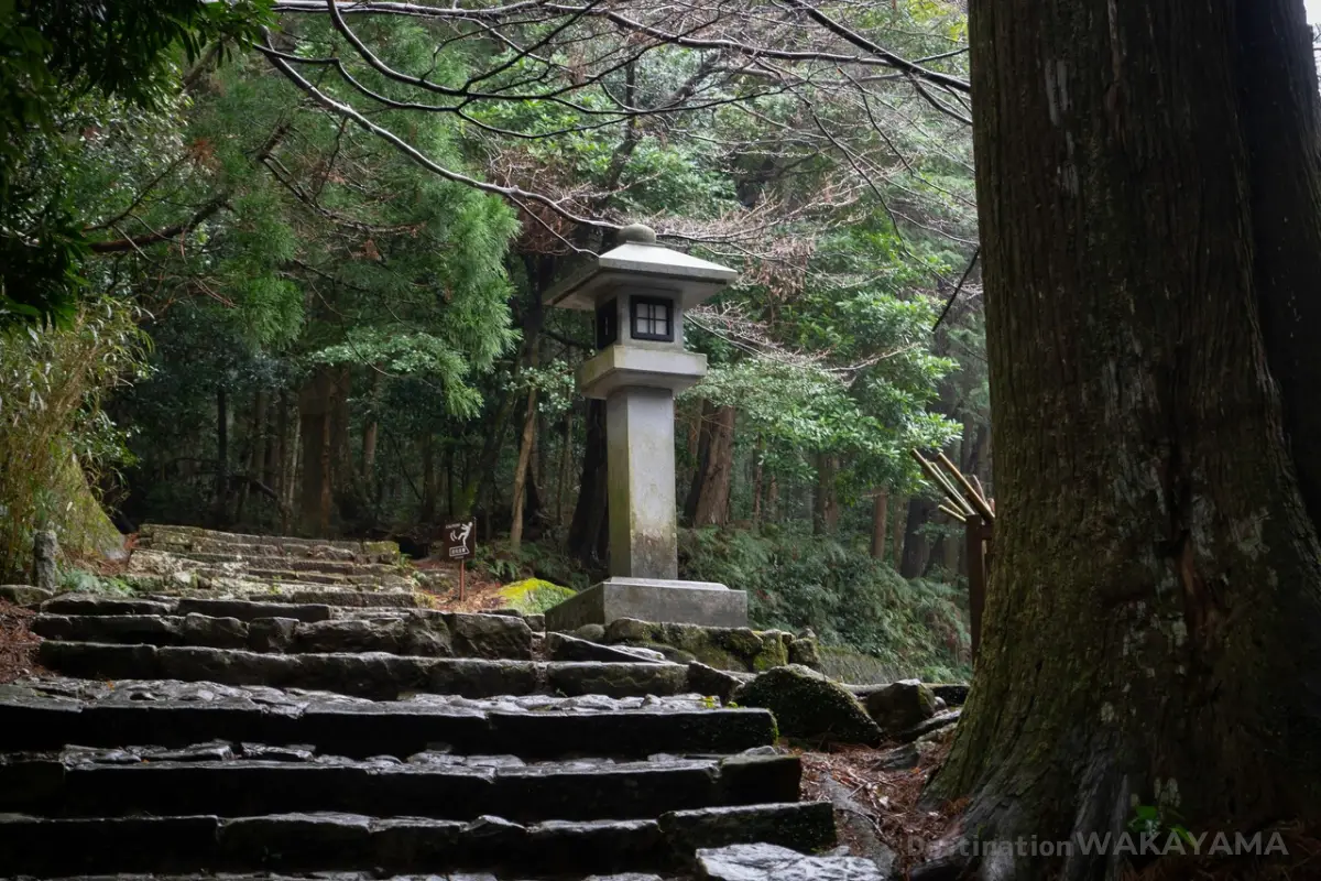 龜之井酒店那智勝浦的美景