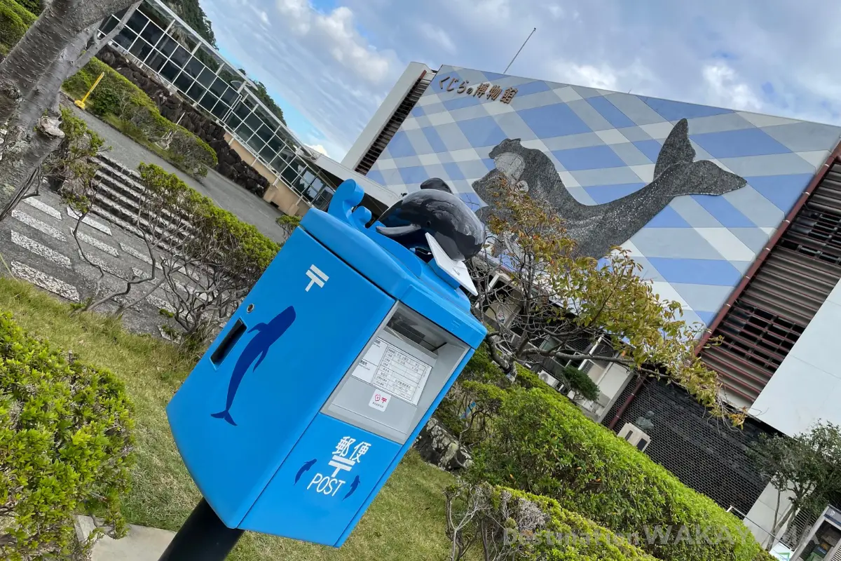 太地町立くじら博物館:捕鯨文化と鯨の世界を楽しみながら学ぶ水族館