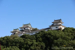 砂の丸庭園から見上げる和歌山城の天守閣