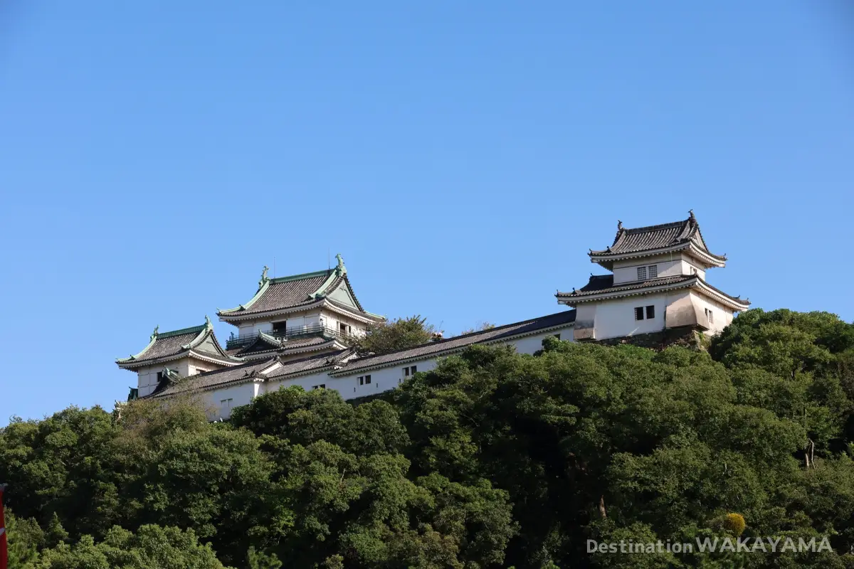 砂の丸庭園から見上げる和歌山城の天守閣