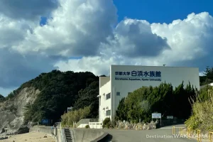 京都大学白浜水族館の魅力｜アクセス・展示内容・周辺観光