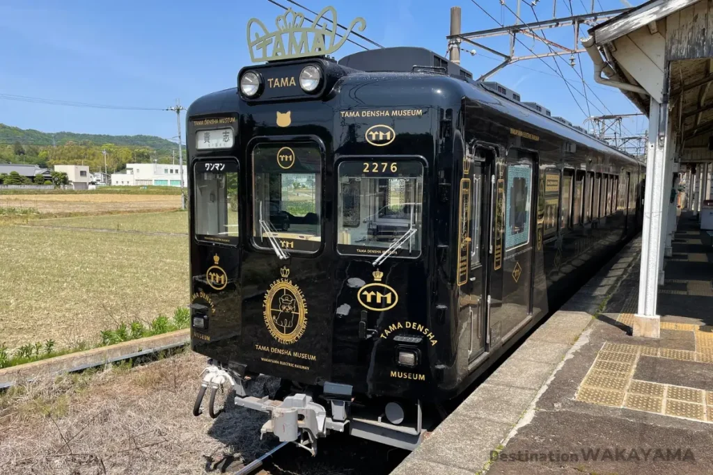 「小玉電車博物館」是為了紀念小玉的成就而設立的。