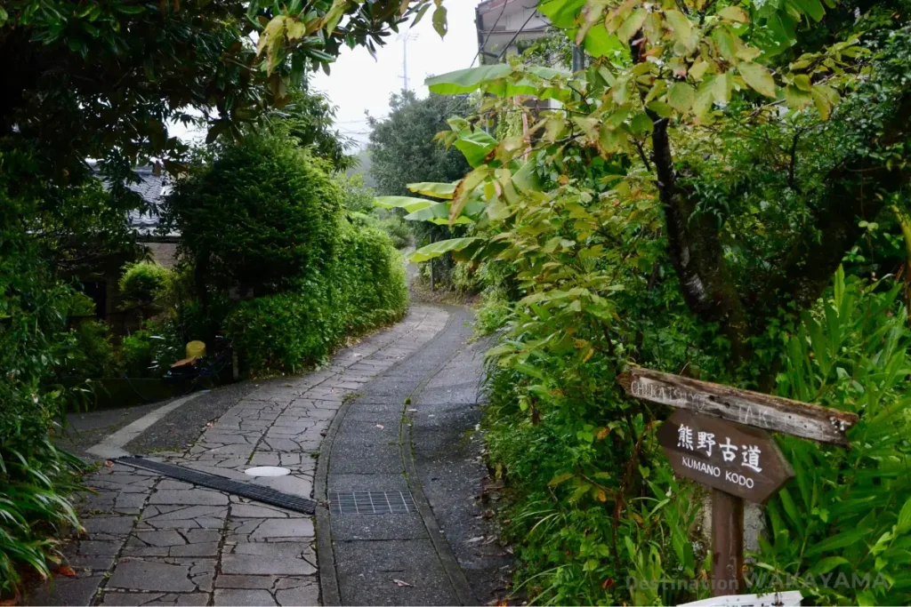 熊野古道/kumano Kodo