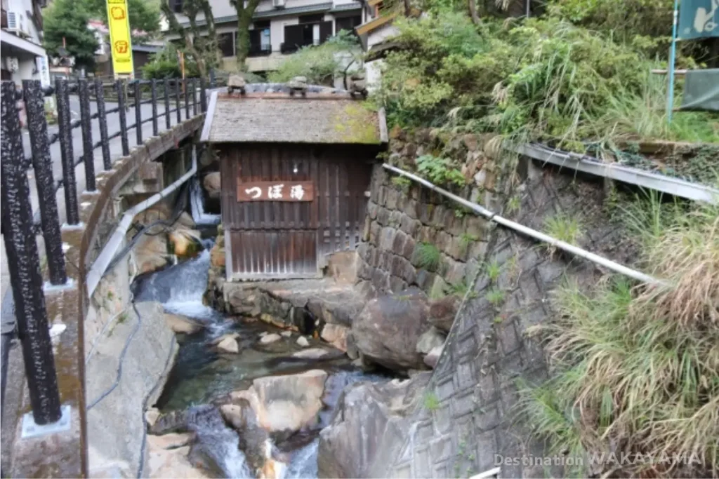湯峯温泉の日本最古のつぼ湯