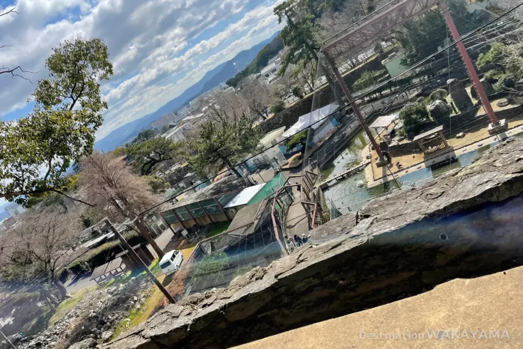 從和歌山城天守閣前的道路眺望動物園