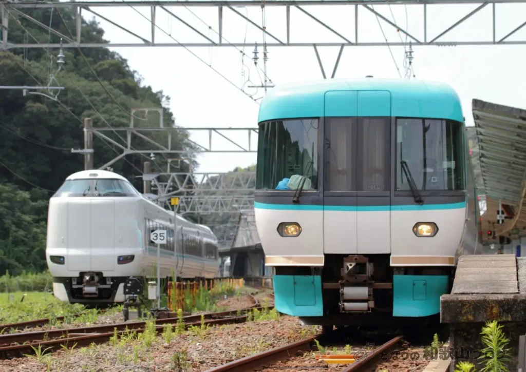 【車なし】和歌山観光モデルコース｜電車・バスだけで行ける4エリア旅行ガイド