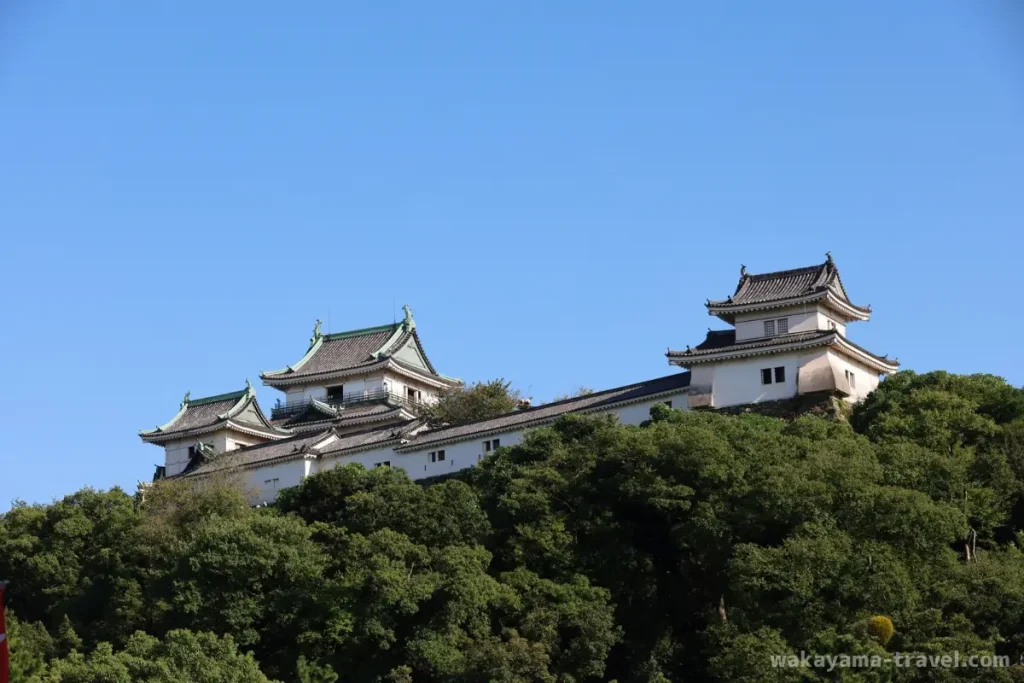 下から見上げる和歌山城